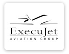 Bird Execujet